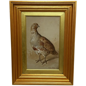 British 19th Century Watercolour Painting Partridge Game Bird Signed Frank Paton