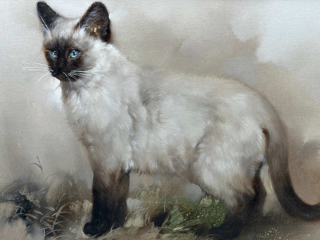 Antique English Oil Canvas Painting Portrait Siamese Cat Animal C1920