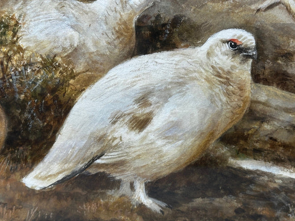 Watercolour Highland Moors Covey Of Ptarmigan Game Birds On Alert By Neil Cox - Cheshire Antiques Consultant