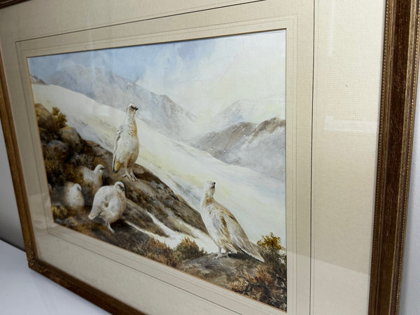 Watercolour Highland Moors Covey Of Ptarmigan Game Birds On Alert By Neil Cox - Cheshire Antiques Consultant