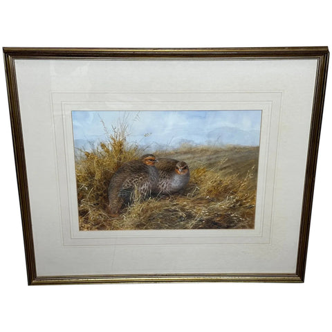 Watercolour Painting Grey Partridges Wildlife Game Birds Sheltering New Forest - Cheshire Antiques Consultant