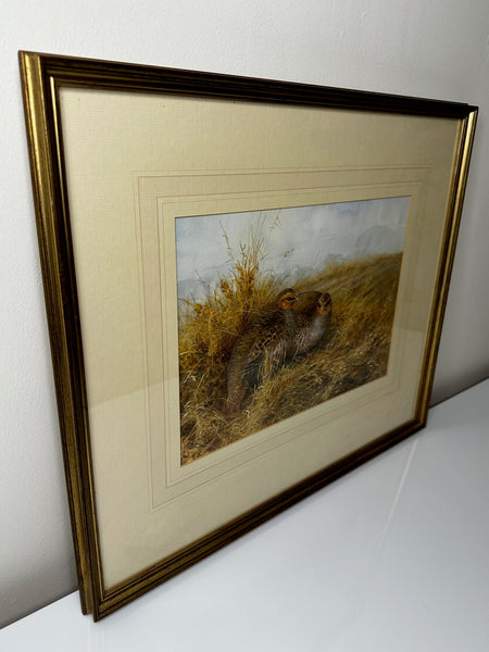 Watercolour Painting Grey Partridges Wildlife Game Birds Sheltering New Forest - Cheshire Antiques Consultant