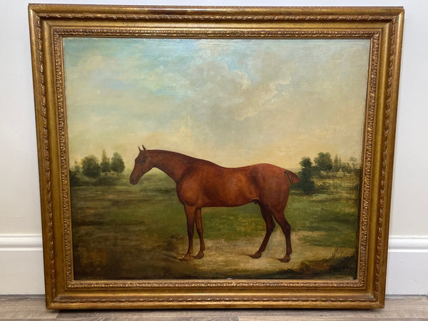 19th Century Oil Painting Bay Hunter Race Horse Partisan By James Barenger - Cheshire Antiques Consultant