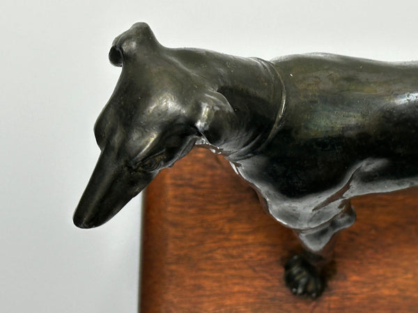 Art Deco Sporting Prized Racing Greyhound Stud Bronze Sculpture - Cheshire Antiques Consultant