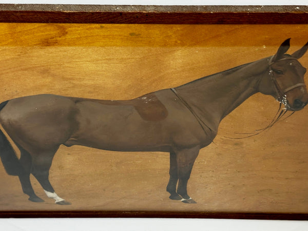 British Oil Painting Portrait Of Kim Mare Bay Hunter Horse Francis Mabel Hollams - Cheshire Antiques Consultant