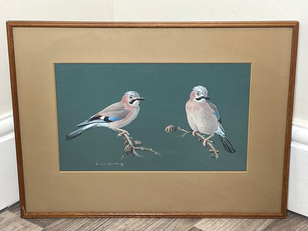 British Ornithological Painting Jays Perched Bird Study By Donald Watson - Cheshire Antiques Consultant