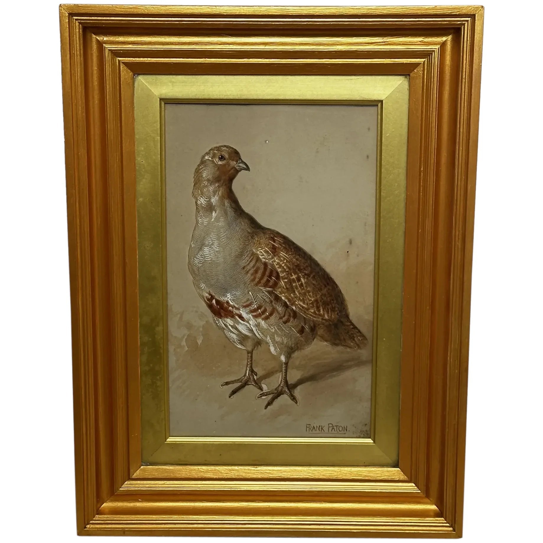 British Victorian Painting Partridge Game Bird Signed Frank Paton - Cheshire Antiques Consultant