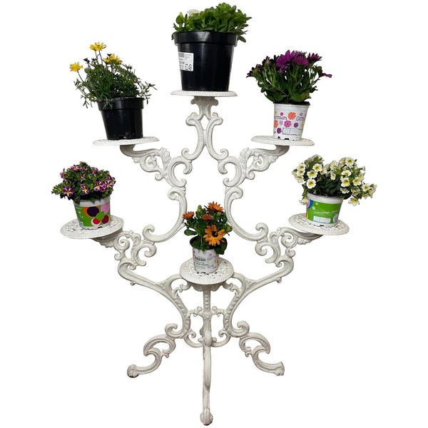 Charming English Victorian Garden Cast Iron White 6 Branch Plant Stand - Cheshire Antiques Consultant
