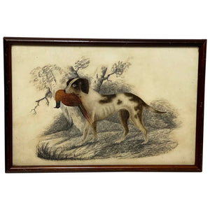 Early Victorian Hunting Painting Pointer Gun Dog Carrying Grouse Bird Prey - Cheshire Antiques Consultant