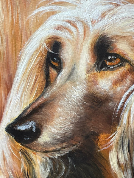 Large Impressive Portrait Afghan Hound Dogs Oil Painting - Cheshire Antiques Consultant