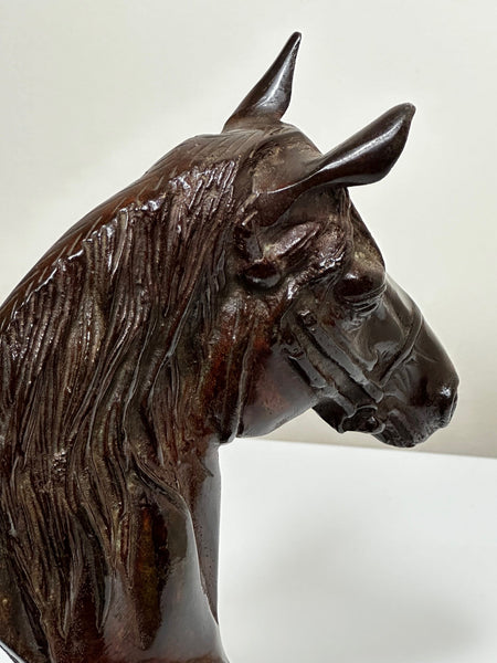 Mid Century Sporting Equine Bronze Horse Head Bust Sculpture - Cheshire Antiques Consultant