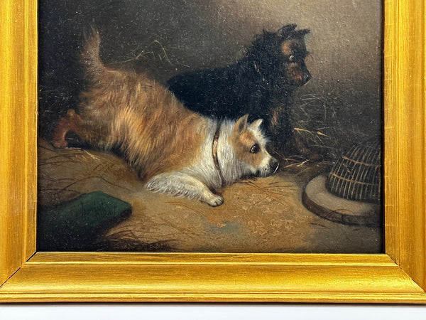 Oil Painting 2 Terrier Dogs On The Scent Ratting George Armfield C1867 - Cheshire Antiques Consultant