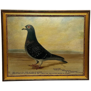 Oil Painting Champion Bird Repetition Pigeon By J Brown C1932 Bred & Raced J Robinson - Cheshire Antiques Consultant