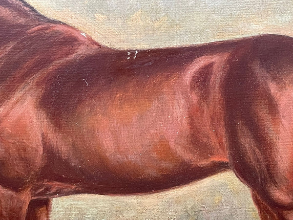 Oil Painting Horse 'Spion Kop' Winner Derby Stakes By Frederick Albert Clarke - Cheshire Antiques Consultant