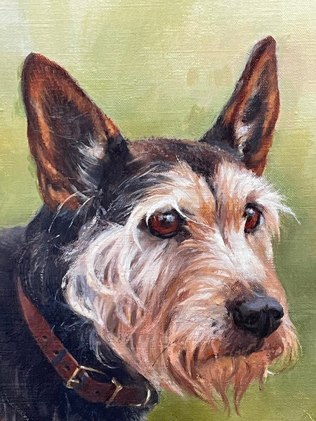 Oil Painting "The Faithful Friend" Dog Portrait Listed Frederick J Haycock - Cheshire Antiques Consultant