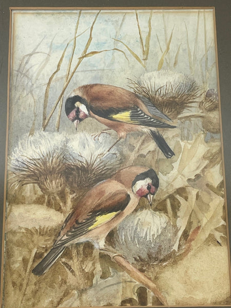 Ornithological Watercolour Finches Birds Study Attributed To Florence Barlow Royal Doulton - Cheshire Antiques Consultant