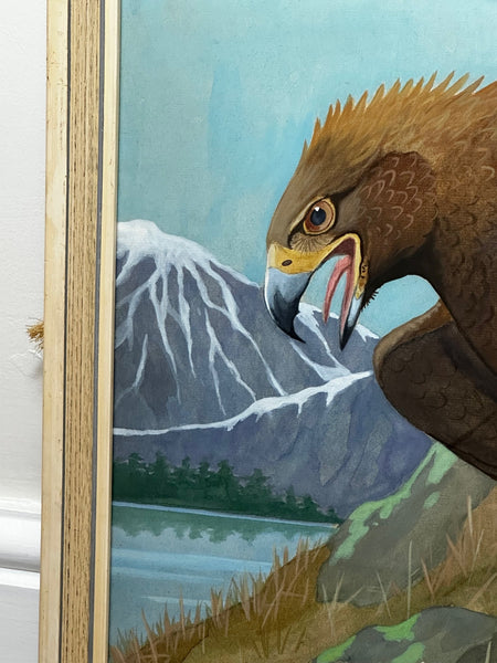 Ornithology Painting "Golden Eagle" Bird Of Prey By Ralston Gudgeon - Cheshire Antiques Consultant