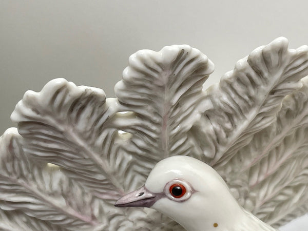 Pair Collectible Nymphenburg Porcelain Dove Peacock Tail Birds Figurines - Cheshire Antiques Consultant