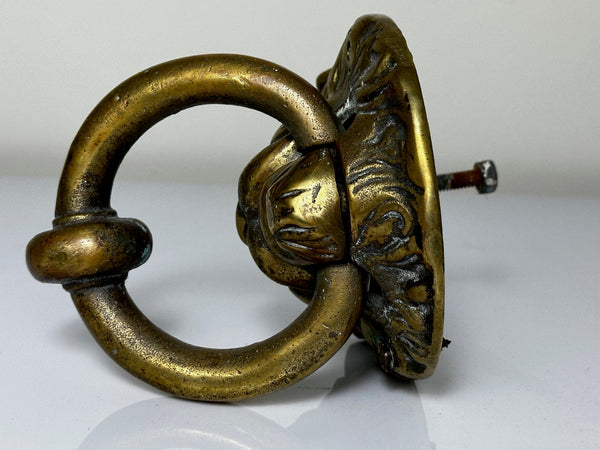 Solid Thick Brass Door Knocker Lion Face Head Circa 1920 - Cheshire Antiques Consultant