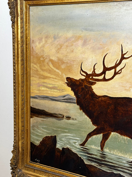 Victorian Oil Painting Wild Stag Male Deer Scottish Highlands Wading Loch Lomond - Cheshire Antiques Consultant