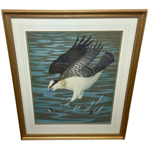 Watercolour Osprey Swooping Down On Pike Fish Signed Ralston Gudgeon - Cheshire Antiques Consultant