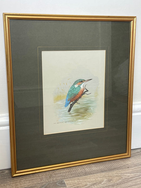Watercolour Painting "Iridescent Kingfisher" By David Andrews - Cheshire Antiques Consultant