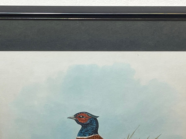 Watercolour Pheasants In Moor Minehead Somerset Signed Frances Fry - Cheshire Antiques Consultant