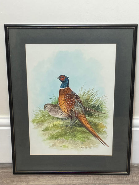 Watercolour Pheasants In Moor Minehead Somerset Signed Frances Fry - Cheshire Antiques Consultant