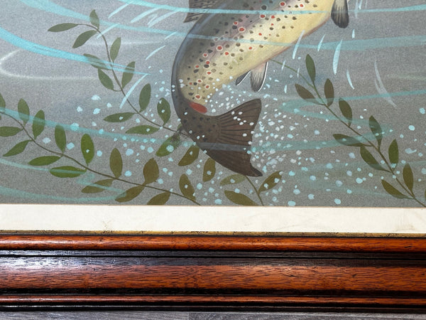 Watercolour Rainbow Trout Fish Leaping To Catch Dragonfly By Ralston Gudgeon - Cheshire Antiques Consultant