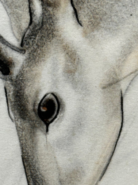 Watercolour The Deer Signed By John Rattenbury Skeaping 1901-1980 - Cheshire Antiques Consultant